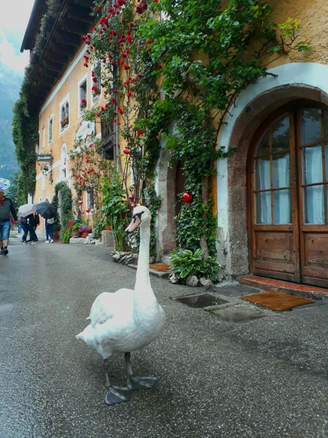 Braeugasthof Hallstatt Ngoại thất bức ảnh